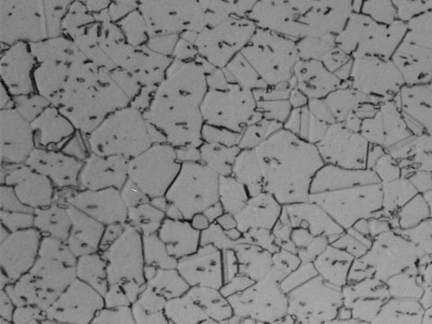 Nickel and Cobalt based Alloys